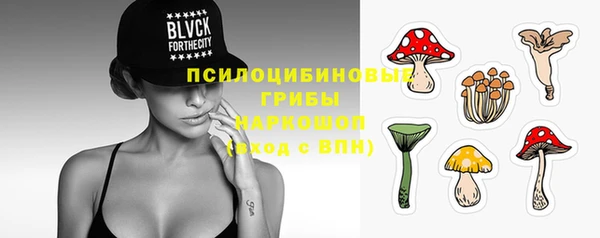 круглые Алзамай