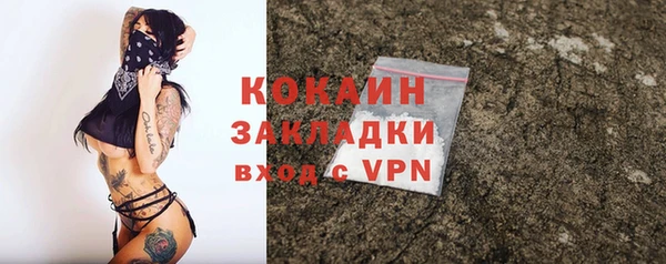 дживик Алексин